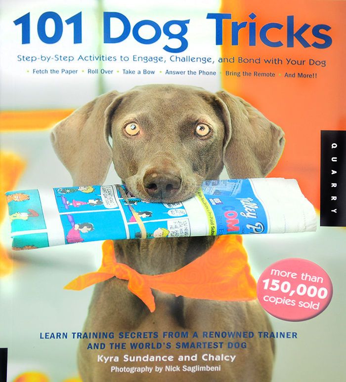 101 Dog Tricks: Step by Step Activities to Engage, Challenge, and Bond with  Your Dog (Volume 1) (Dog Tricks and Training, 1)
