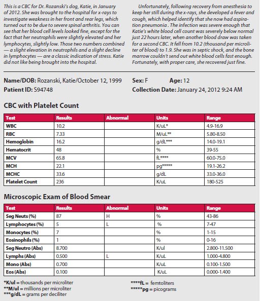 what is a normal red blood cell count in dogs