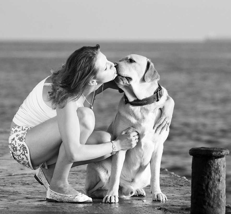 why do dogs kiss each other