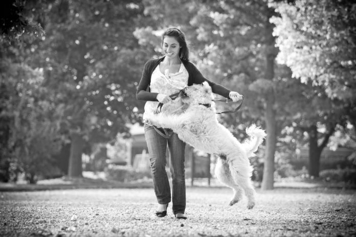 Does Your Dog Jump On People? - TuftsYourDog