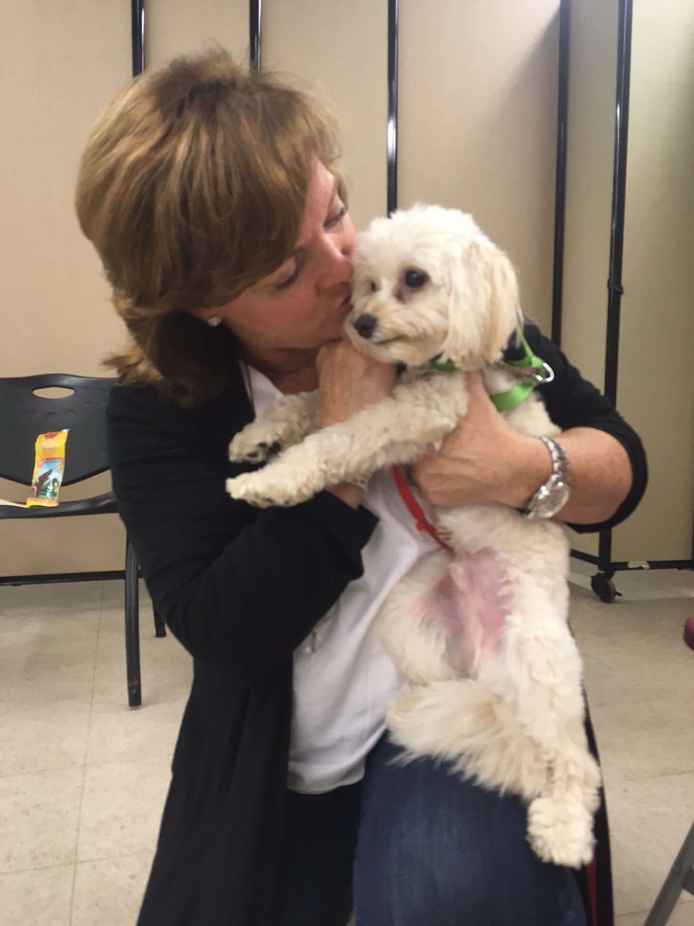 poodle mix and owner