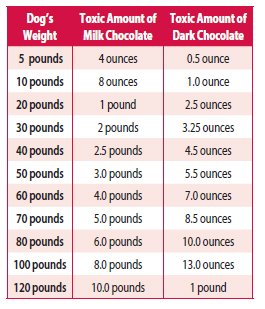 Dark chocolate hotsell dogs amount