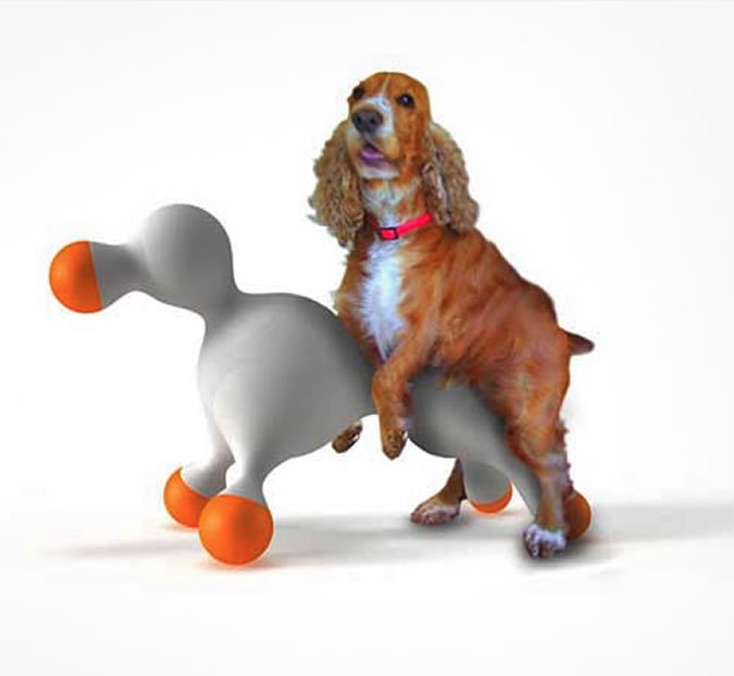 dogs hump toys