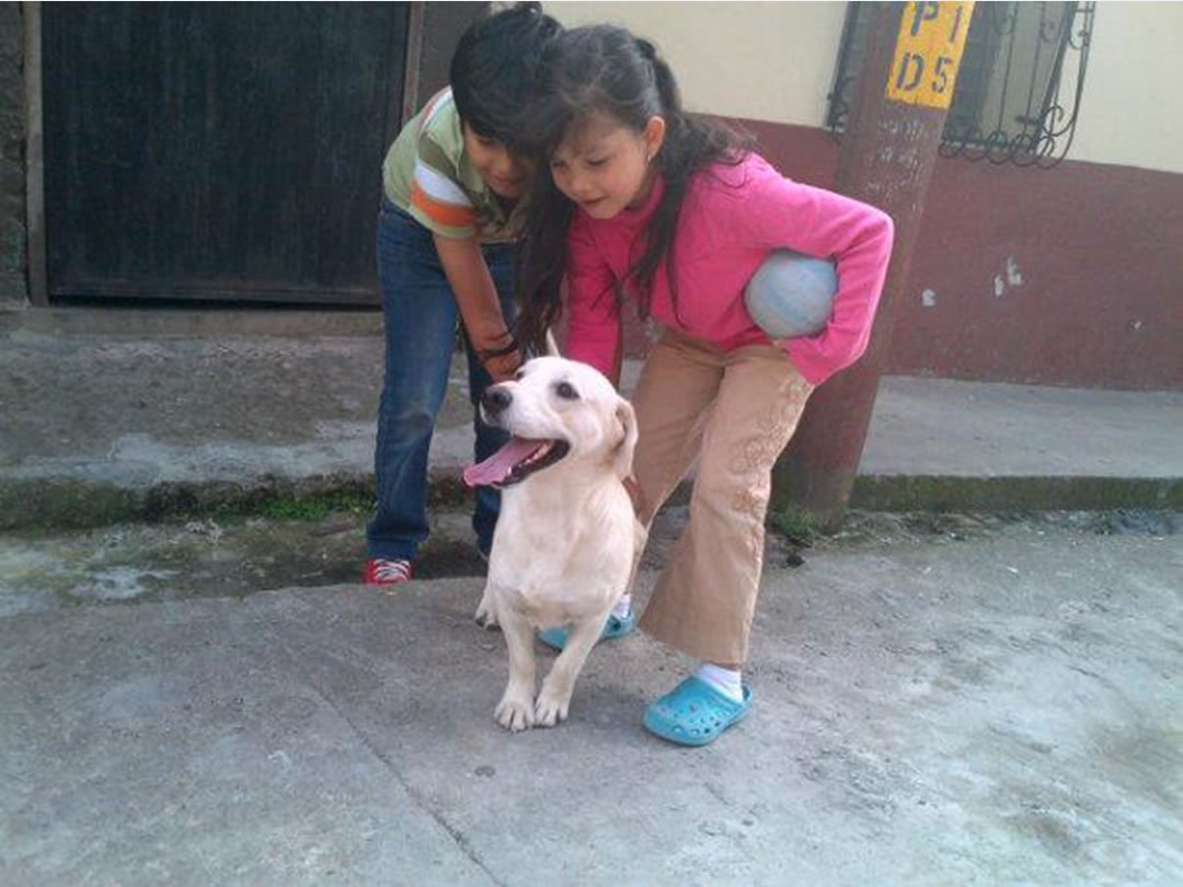 Dog with Children