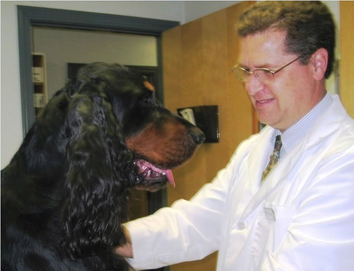 Veterinary geneticist Jerold Bell