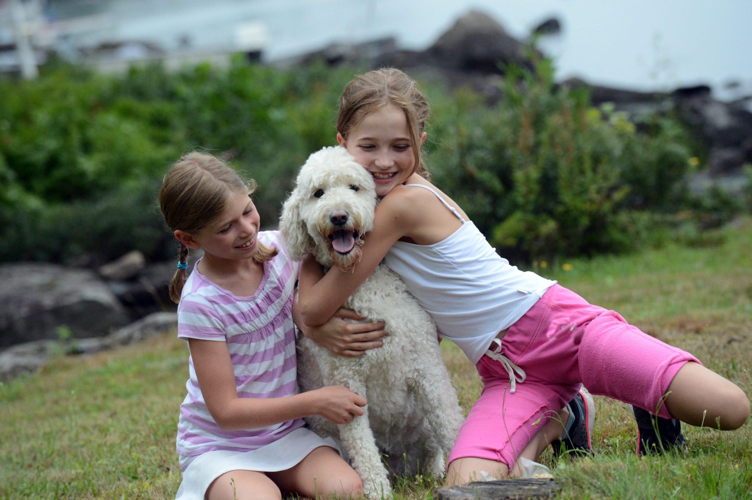 Dog with kids