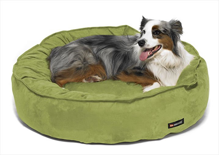 Big shrimpy shop nest dog bed