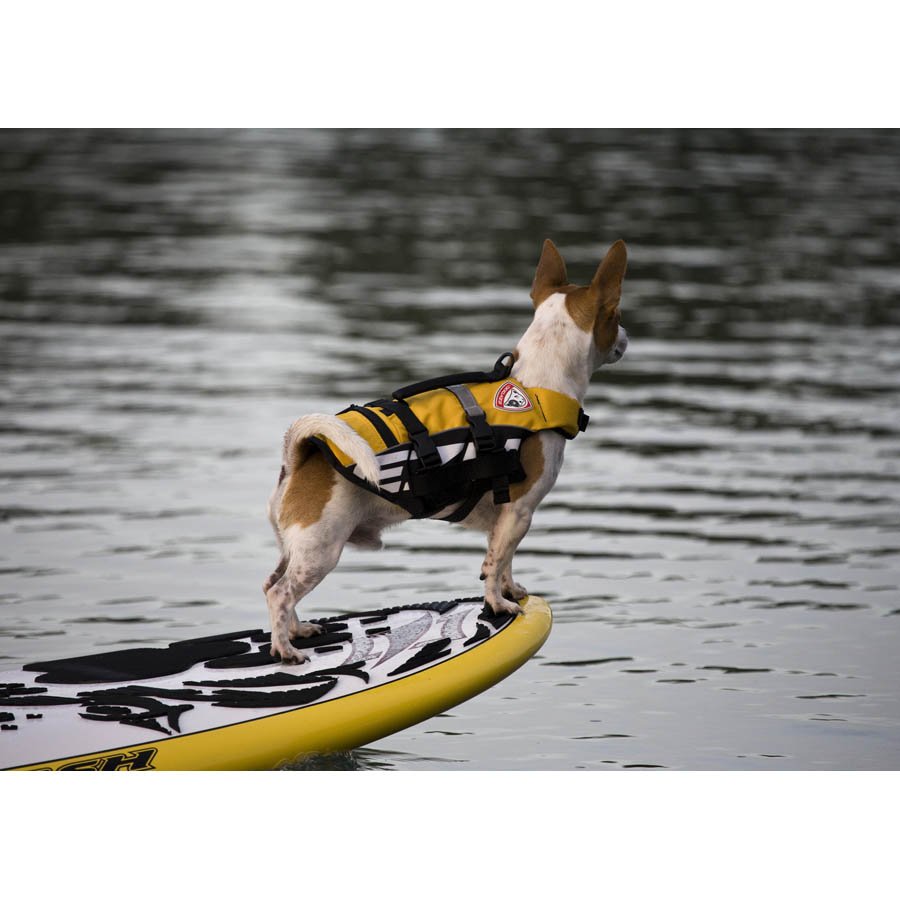 EzyDog Flotation Device