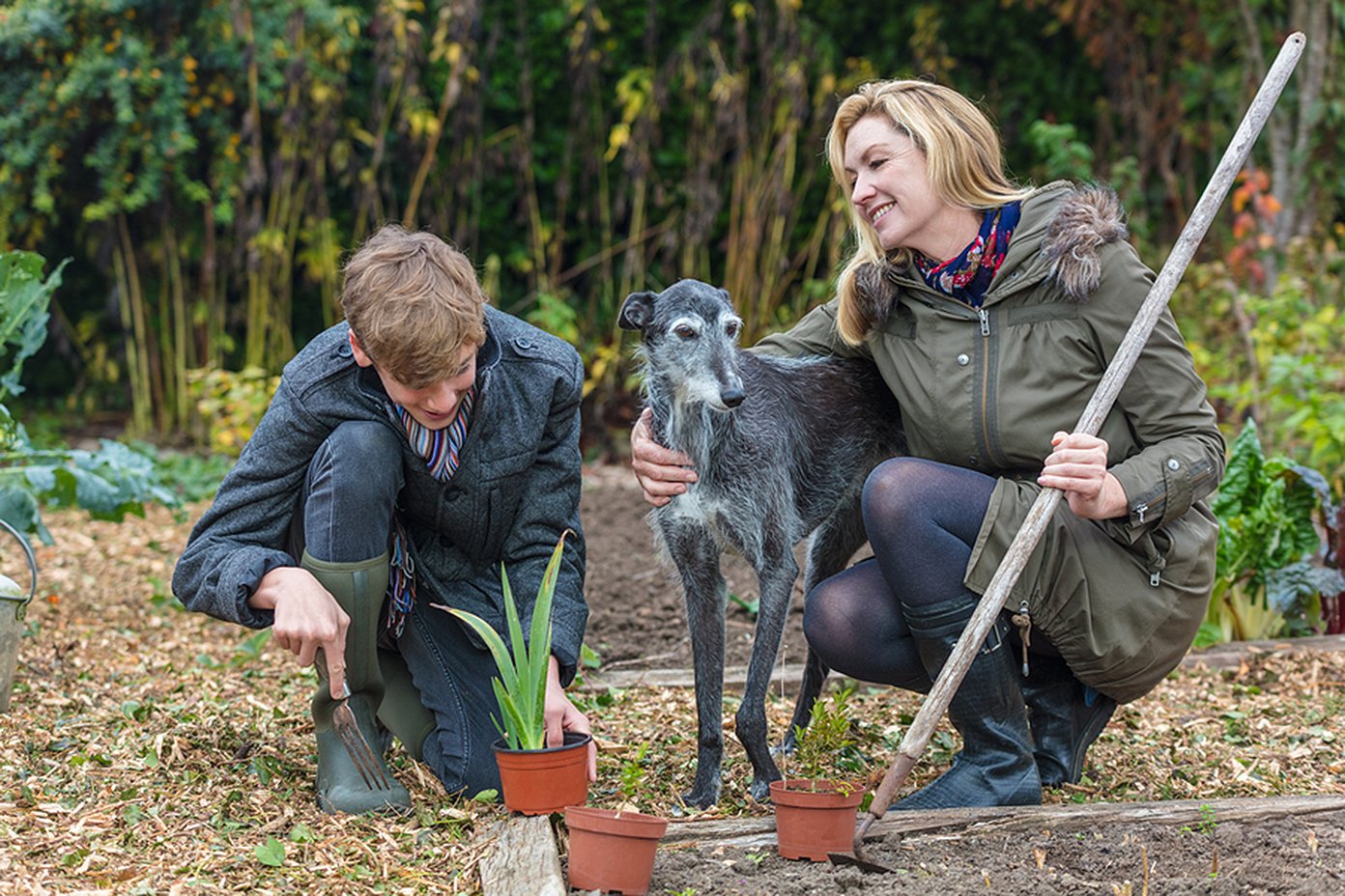 Dog and Garden