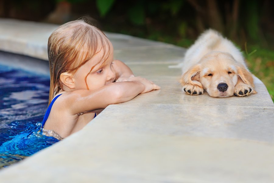 dogs and swimming