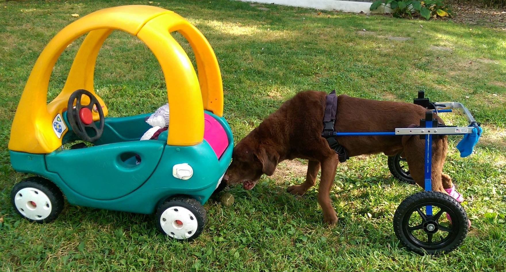 Jamie and his toy car.