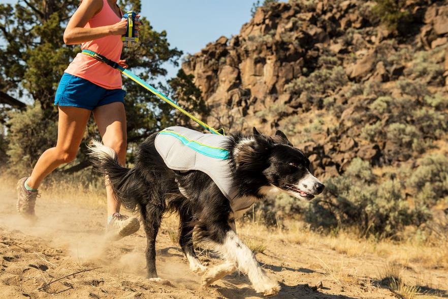 dog cooling vest 