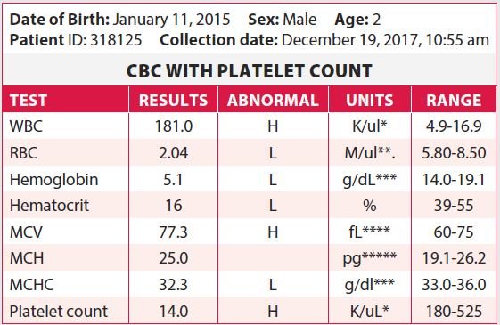 dog cbc blood test results