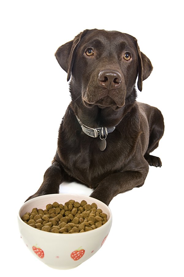 dog supplement