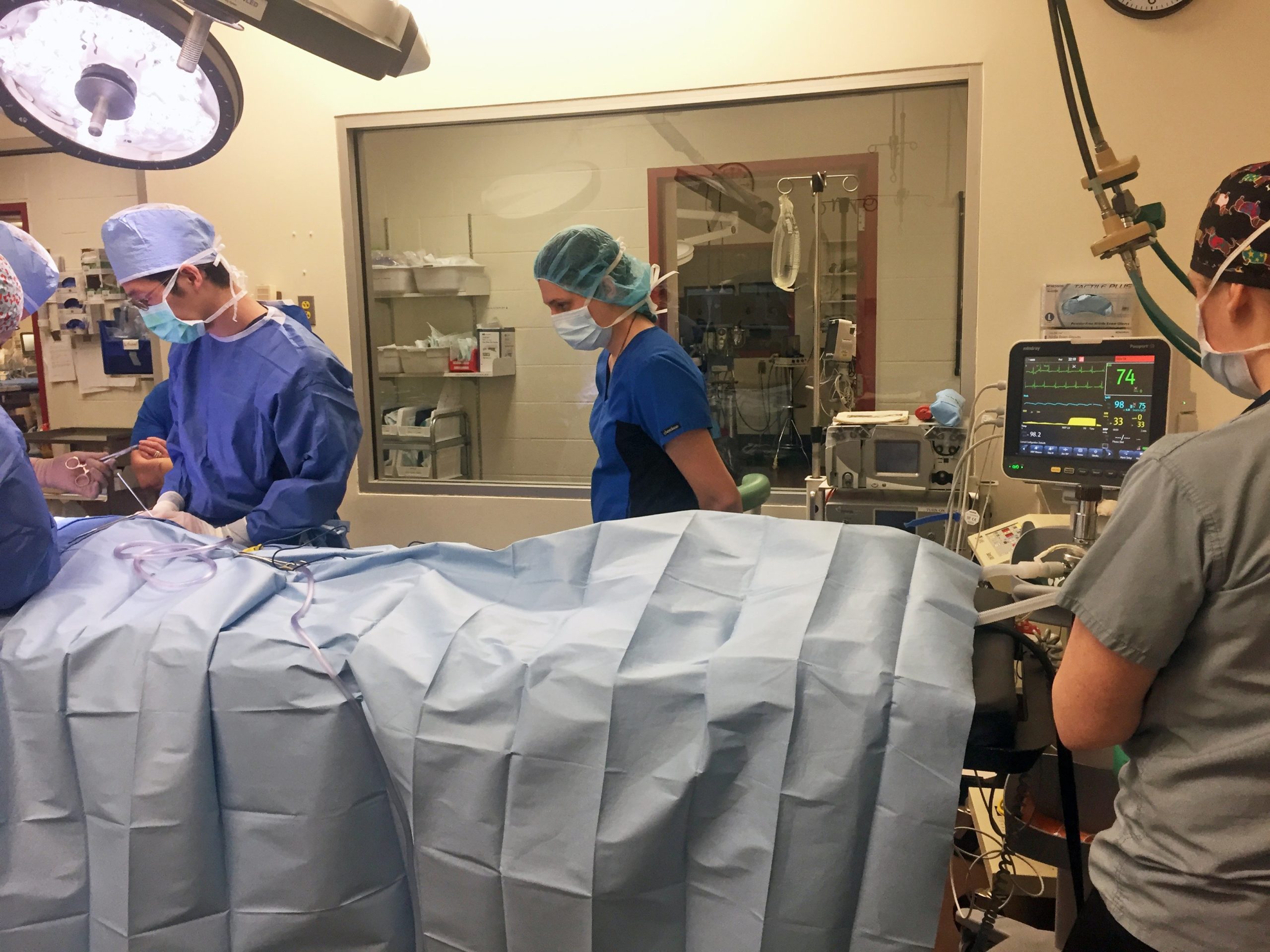 Foster Hospital for Small Animals at Tufts University’s Cummings School of Veterinary Medicine