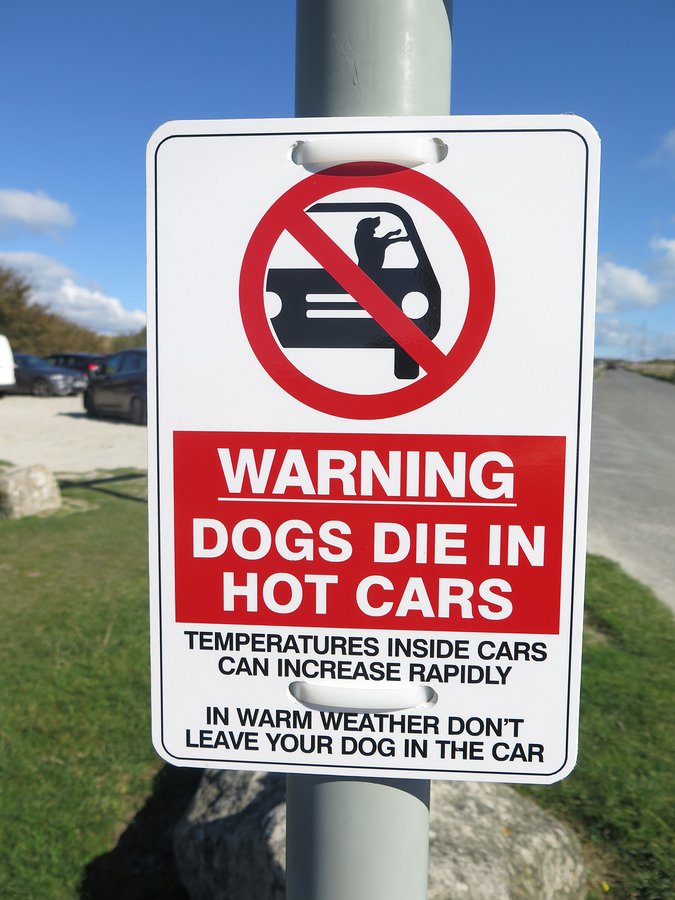 dogs die in hot cars warning sign