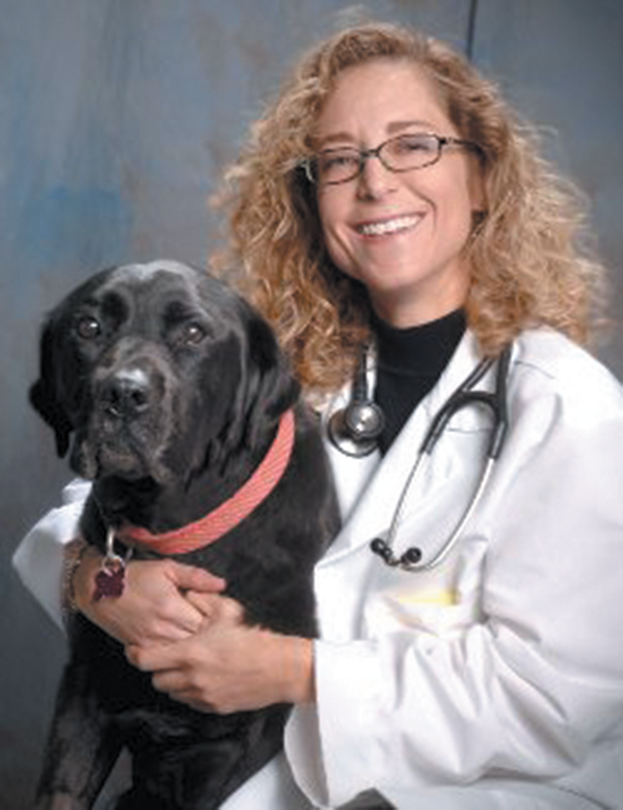 Tufts veterinary oncologist Cheryl London,
