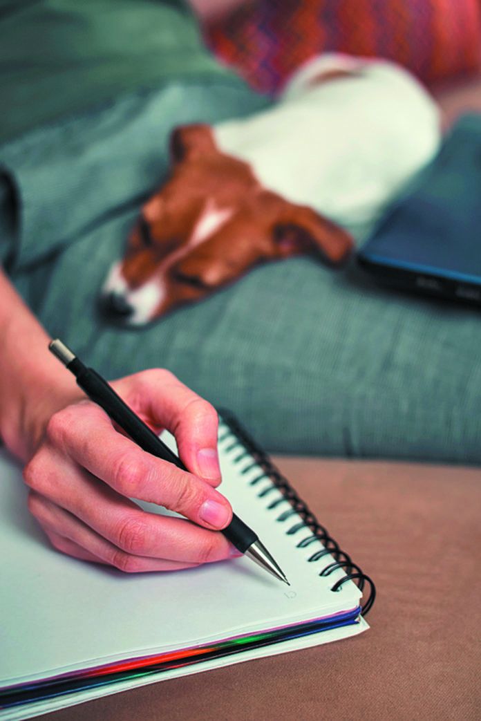 Woman Write Plans In The Notebook With Her Jack Russel Terrier