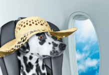 The days of dogs hanging out with their human family members on airplanes are pretty much over.