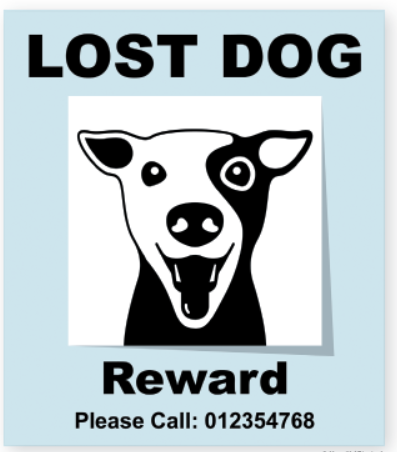 Be careful about how much information you give when trying to find a lost dog.