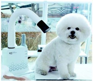 DUZ Hands-Free Dog & Cat Grooming Dryer