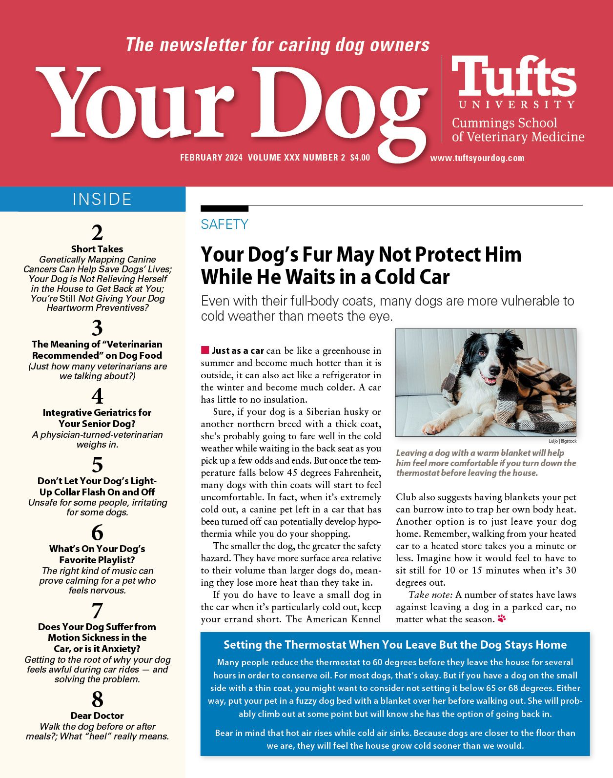 Download The Full February 2024 Issue PDF TuftsYourDog   2402 YD Feb2024 Cover .optimal 